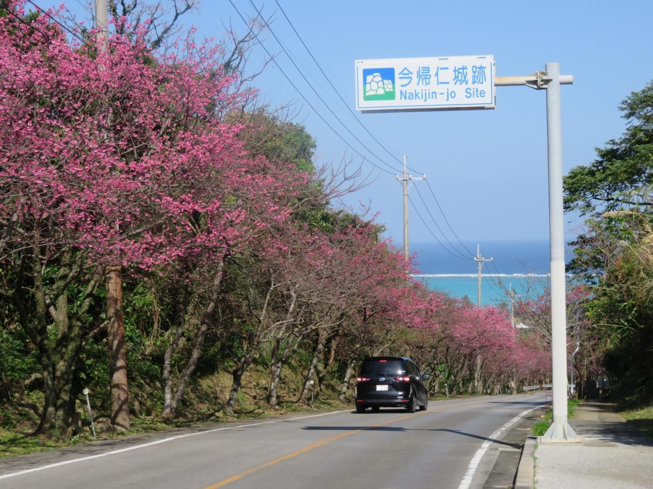 Villa Okinawa Freedom Nakijin Exterior foto
