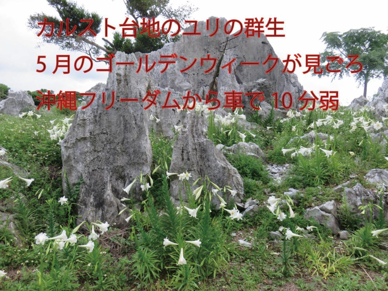 Villa Okinawa Freedom Nakijin Exterior foto